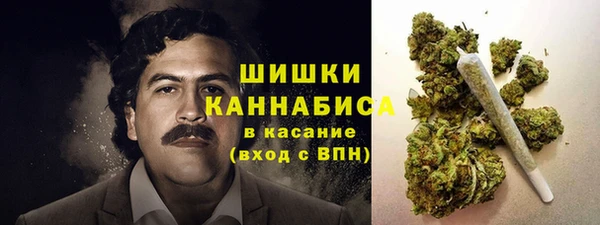 шишки Волоколамск