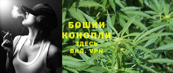 шишки Володарск