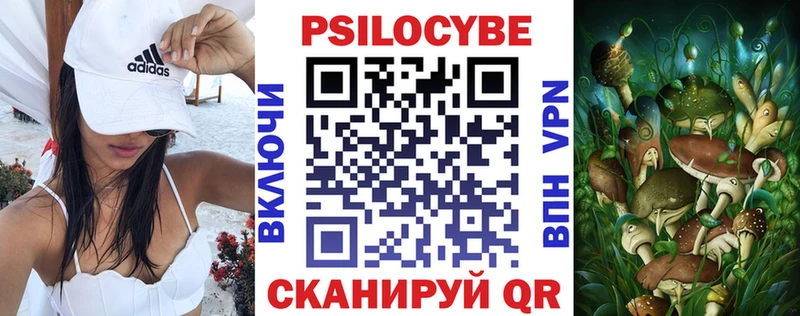 блэк спрут ТОР  Камешково  Псилоцибиновые грибы прущие грибы 